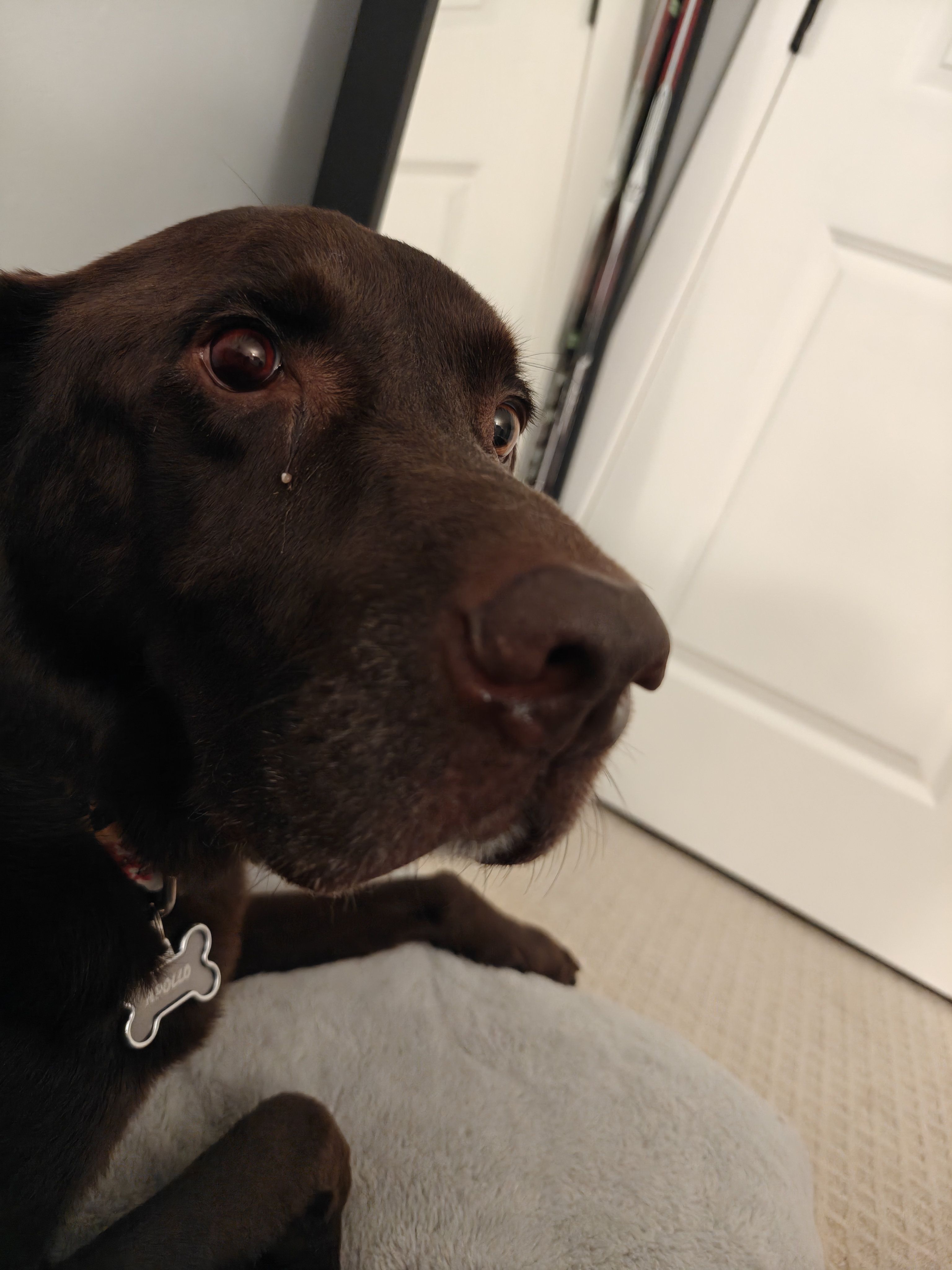 His eye at its worst